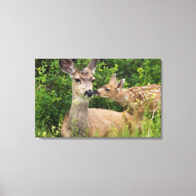 Mule Deer Doe with Fawn Canvas Print (Front)