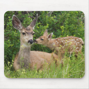 Mule Deer Doe with Fawn Mouse Mat