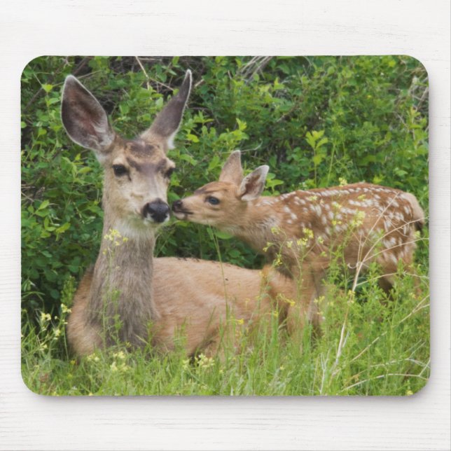 Mule Deer Doe with Fawn Mouse Mat (Front)