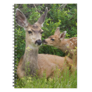 Mule Deer Doe with Fawn Notebook