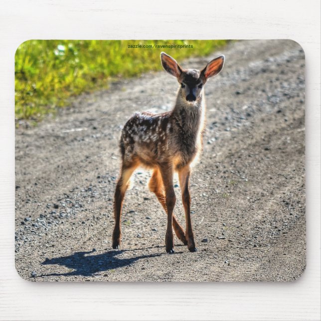 Mule Deer Fawn Baby Animal Wildlife Photo Mouse Mat (Front)