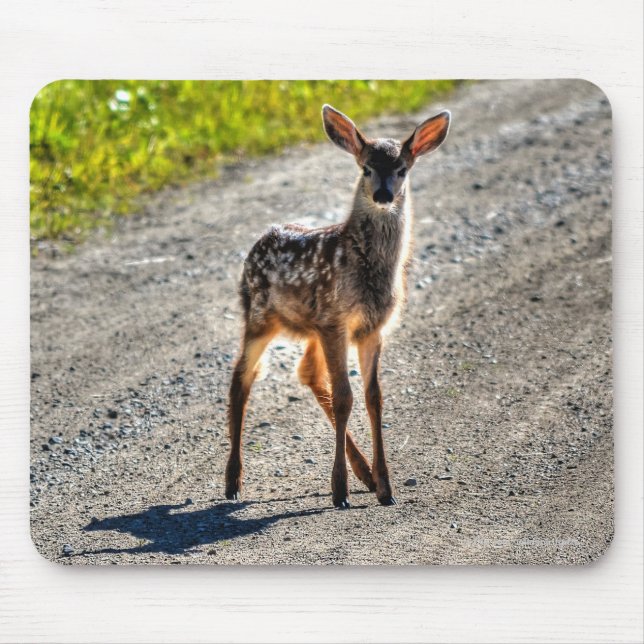Mule Deer Fawn Baby Animal Wildlife Photo Mouse Mat (Front)