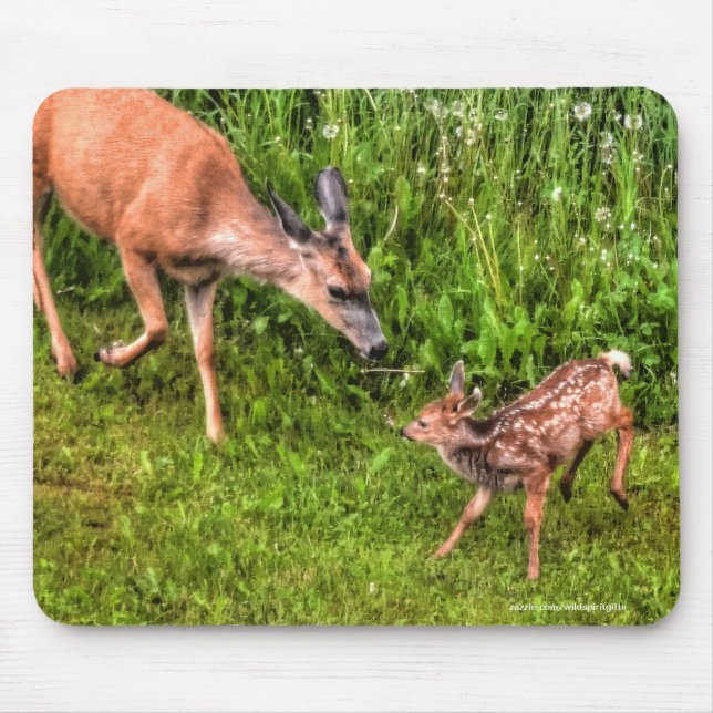 Mule Deer Fawn & Mother Wildlife Photo Mouse Mat (Front)