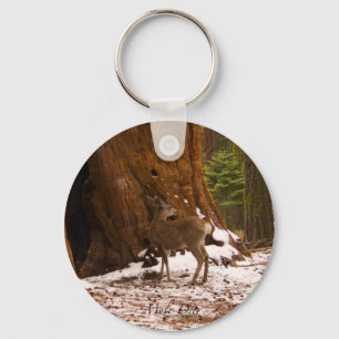 Mule Deer Key Chain
