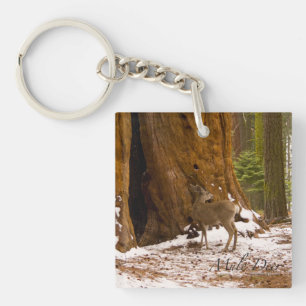 Mule Deer Key Ring