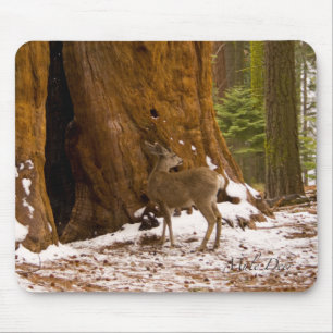 Mule Deer Mouse Mat