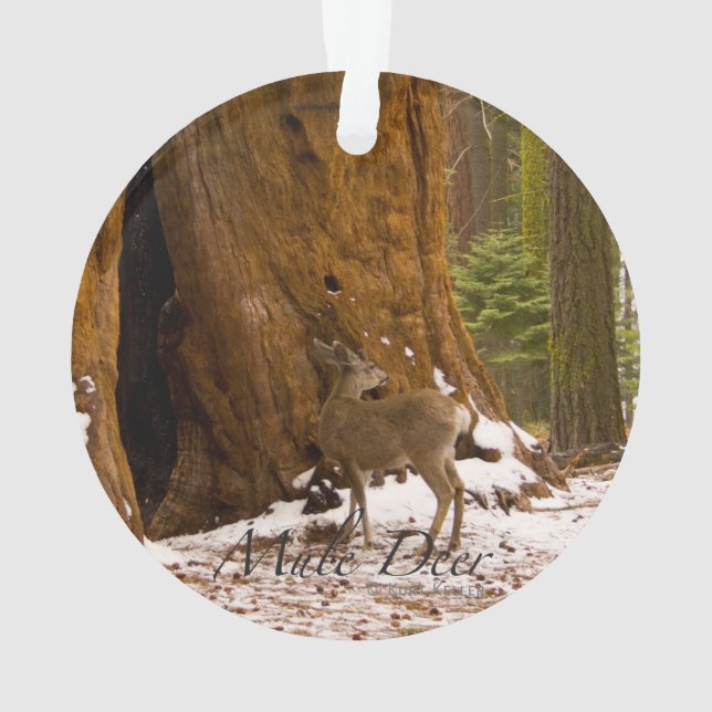 Mule Deer Ornament (Back)