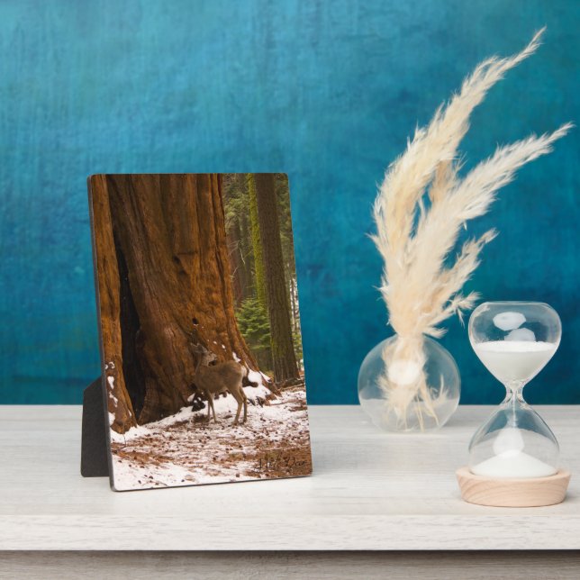 Mule Deer Plaque (Side)