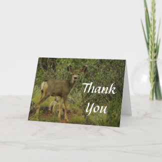 Mule Deer Raspberry Thank You Card