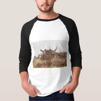 MULE DEER SHIRTS