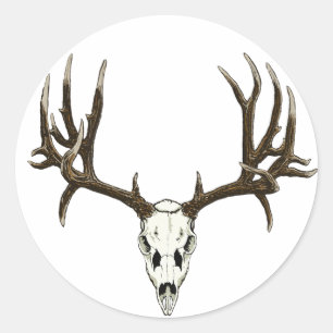 Mule Deer skull Classic Round Sticker
