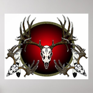 mule deer skulls poster