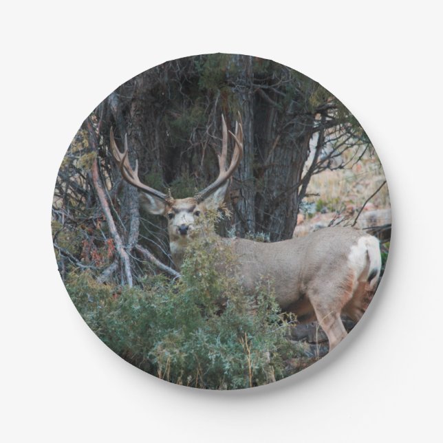 Mule deer spur buck paper plate (Front)