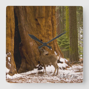 Mule Deer Square Wall Clock