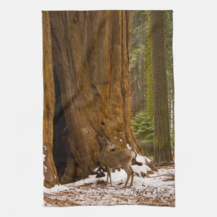Mule Deer Tea Towel
