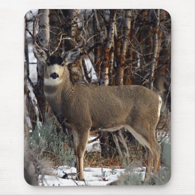 Mule deer ,wellsville mouse mat (Front)