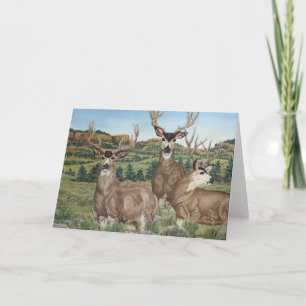 Mule Deer Wildlife Art Card