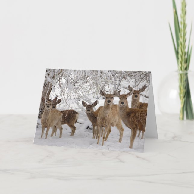 Mule Deer Wyoming Card (Front)