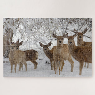 Mule Deer Wyoming Jigsaw Puzzle