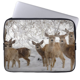 Mule Deer Wyoming Laptop Sleeve