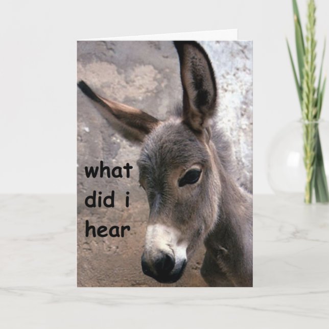 MULE-ISH 40th ADULT BIRTHDAY HUMOR Card (Front)