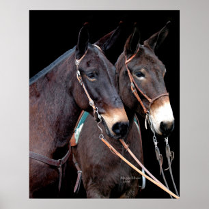 Mule Twosome Poster