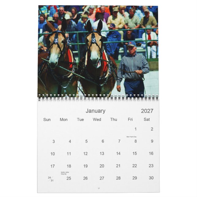 mules and donkeys calendar (Jan 2027)