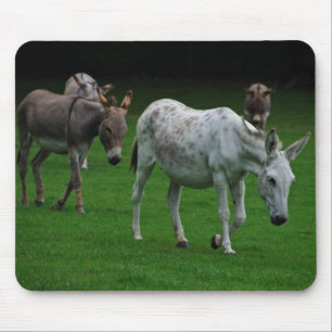 Mules And Donkeys Mousepad