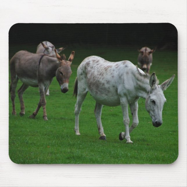 Mules And Donkeys Mousepad (Front)