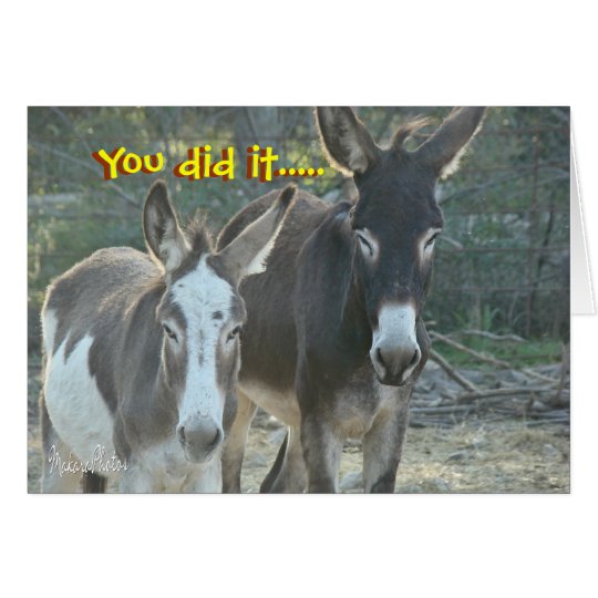 Mules Anniversary card- customise any occasion Card