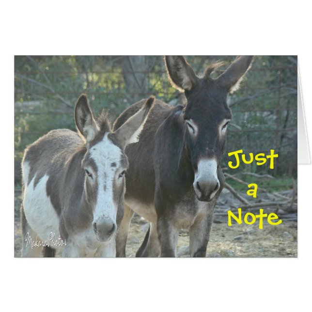 Mules blank card (Front Horizontal)