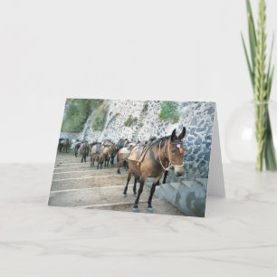 Mules in Greece Greeting Cards