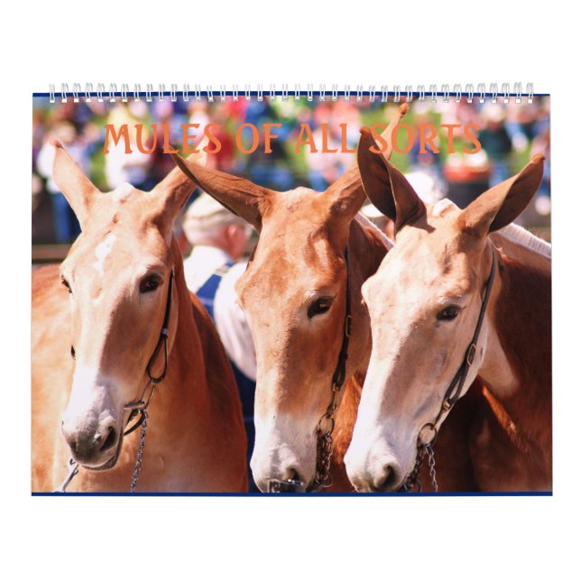 MULES MULES MULES CALENDAR (Cover)