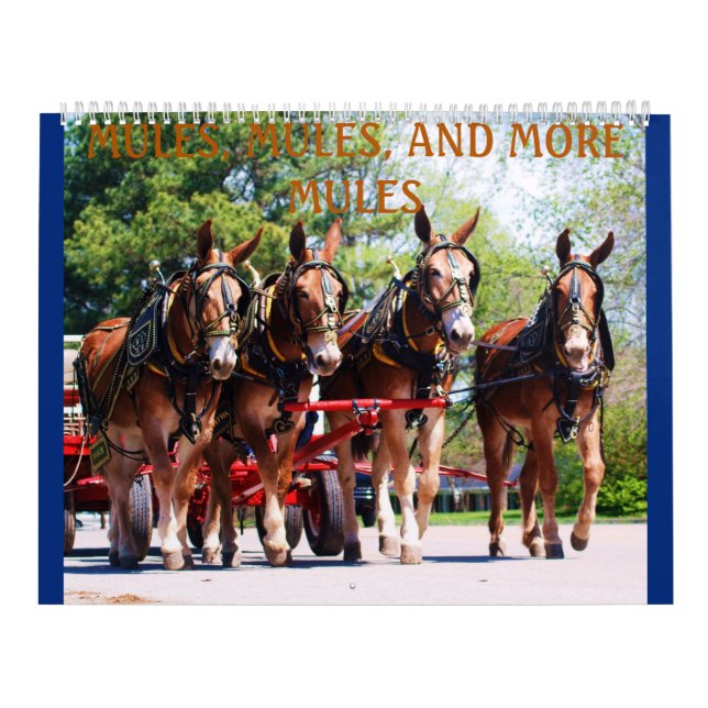MULES, MULES, MULES CALENDAR (Cover)