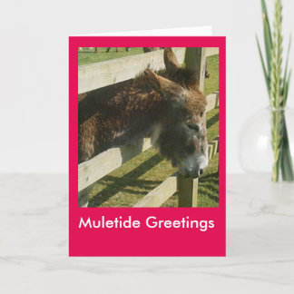 Muletide Greetings Holiday Card