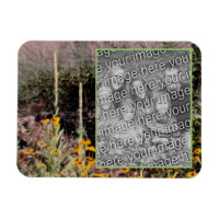 Mulleins Black Eyed Susan Flowers Add Your Photo