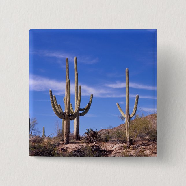 Multi armed Giant Saguaro cactus, Saguaro 15 Cm Square Badge (Front)