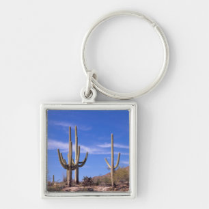 Multi armed Giant Saguaro cactus, Saguaro Key Ring