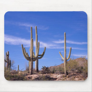 Multi armed Giant Saguaro cactus, Saguaro Mouse Mat