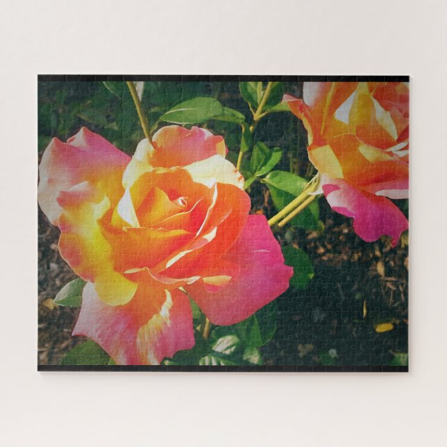 MULTI -COLORED ROSE    JIGSAW PUZZLE (Horizontal)