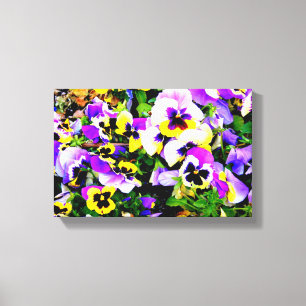 multi-colour pansies wrapped canvas