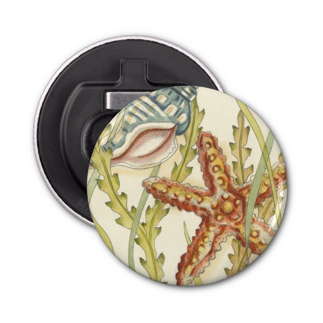 Multi-Colour Shell Party Bottle Opener (Front)