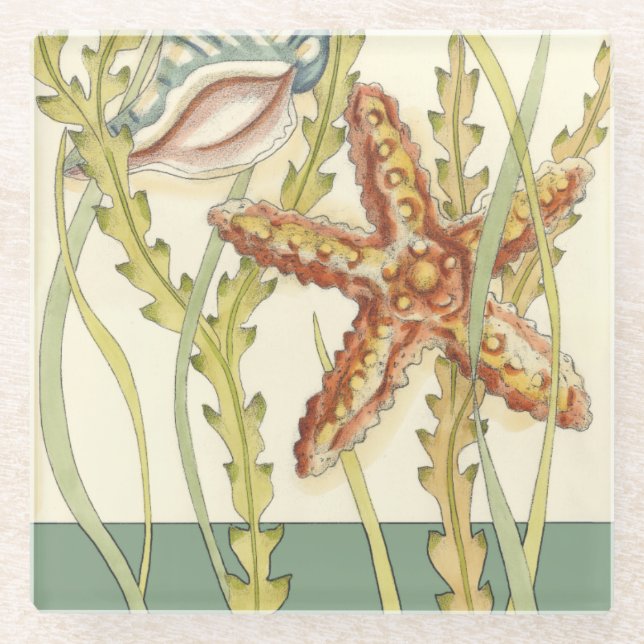 Multi-Colour Shell Party Glass Coaster (Front)