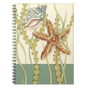 Multi-Colour Shell Party Notebook