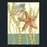 Multi-Colour Shell Party Poster<br><div class="desc">Charikilia Zarris is a talented artist know for her ocean artwork. Her images are peaceful and calm relaxing you with every picture. Get this nautical piece of artwork with a starfish and a Conch shell being the centre of it all, bordered with beautiful kelp. This image will look great on...</div>