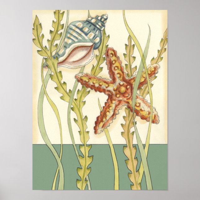 Multi-Colour Shell Party Poster (Front)