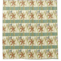 Multi-Colour Shell Party