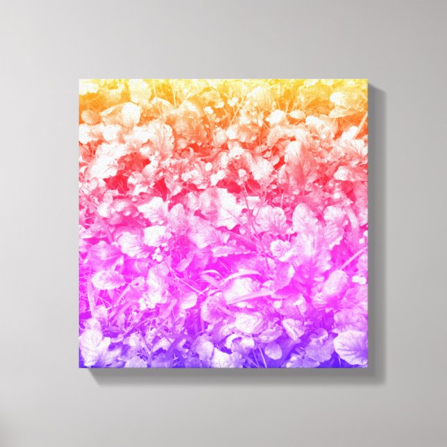 Multi Colour Wild Flowers Canvas Print (Front)