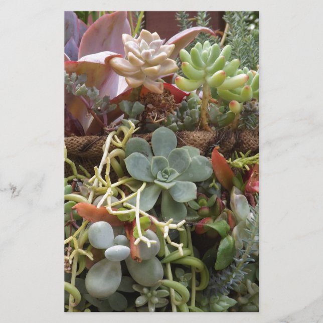 Multi-coloured-Cacti Stationery (Front)