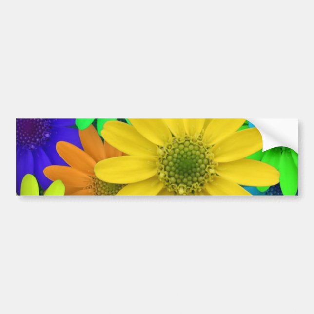 Multi Coloured Daisies Bumper Sticker (Front)